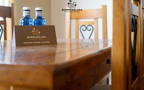 Lucila Beachfront Pedregalejo By Alohamalaga